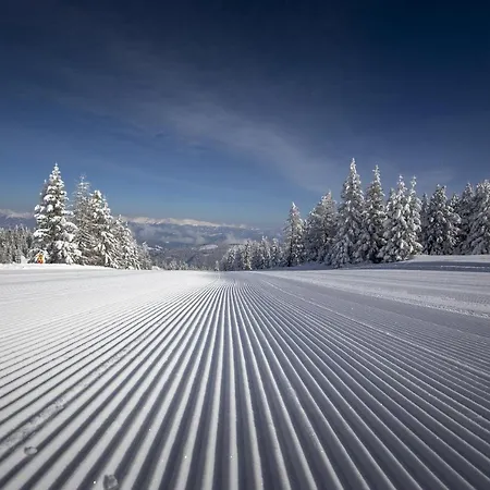 Haus Alpengold Appartamento *